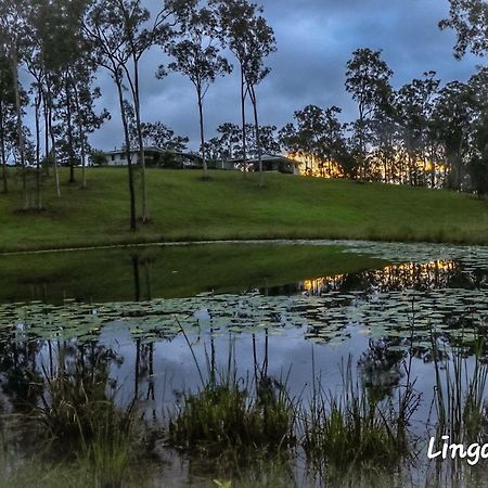 Linga Longa Spiritual Retreat Apartment Curra Luaran gambar